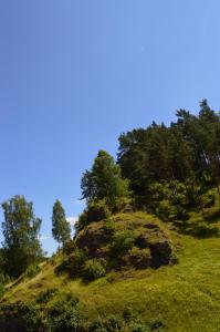 波滕施泰因霍夫蒂姆自然之源农家乐的上面有树木的草山
