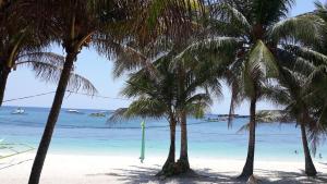 长滩岛Marnin's Place的海滩上一棵棕榈树和大海