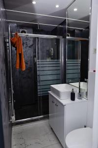 加拉茨Archi's Apartament的带淋浴、卫生间和盥洗盆的浴室