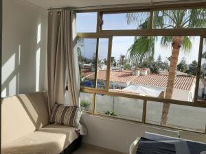 英格兰海滩普拉亚公寓的一间配有沙发的客房和一个带棕榈树的窗户