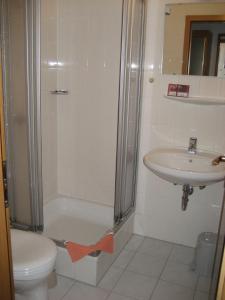 萨兰德特基什内尔酒店的带淋浴、卫生间和盥洗盆的浴室