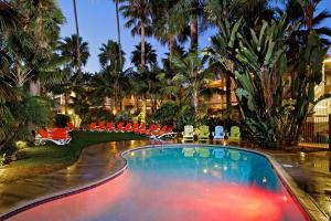 卡尔斯巴德海洋棕榈滩度假酒店的一个带椅子和棕榈树的度假村游泳池