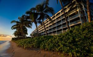 拉海纳Lahaina Shores Beach Resort的棕榈树海滩上的一家大酒店