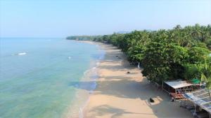 高兰Lanta New Coconut Bungalow的棕榈树海滩的空中景致