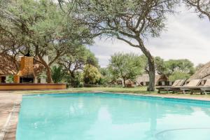 奥卡汉贾Okahandja Country Hotel的一座树木繁茂的庭院内的游泳池