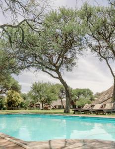 奥卡汉贾Okahandja Country Hotel的一座拥有树木和长凳的游泳池