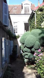 特鲁瓦Duplex La Maisonnette 2 Chambres - parking gratuit的一座小小巷,在建筑物旁边,有一条灌木丛
