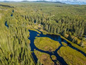 YttermalungThe Old Logging Camp的森林中河流的空中景观