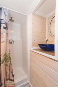 萨拉索塔Tiny House Siesta的客房内的浴室设有蓝色水槽