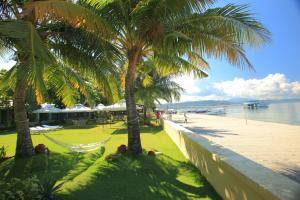 奥隆阿波Wild Orchid Beach Resort的海滩上两棵棕榈树之间的吊床