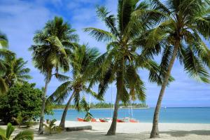 马洛洛莱莱玛斯克卡瓦度假酒店的海滩上一棵棕榈树和大海