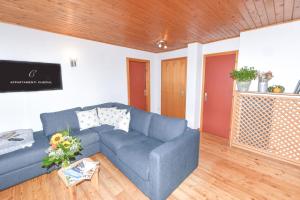 塞尔瓦迪加尔代纳山谷Appartamenti Chedul的客厅设有蓝色的沙发和木地板
