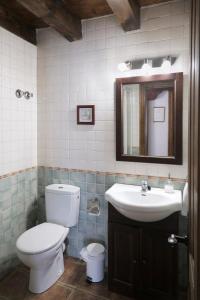 奥巴尼亚卡斯蒂略Hotel Rural La Puebla的一间带卫生间、水槽和镜子的浴室