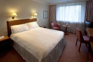 考文垂大不列颠考文垂山酒店的酒店客房设有一张大床和一台电视。