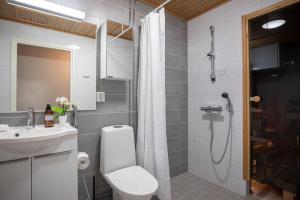 罗瓦涅米Arctic Penthouse City Suite的浴室配有卫生间、盥洗盆和淋浴。