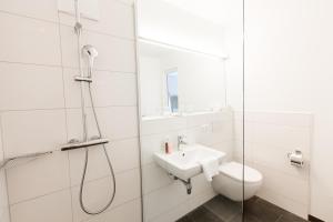 阿诺尔德施泰因Wallner - Hotel & Wirt的带淋浴、卫生间和盥洗盆的浴室