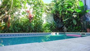 伊瓜苏港Managua Apart Hotel的植物庭院中的游泳池