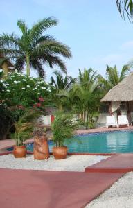 奥拉涅斯塔德库努库别墅阿鲁巴岛热带花园公寓 的一个带游泳池和棕榈树的度假村