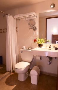 克雷塔罗艾尔斯拉弗恩精品酒店的一间带卫生间和水槽的浴室