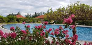 Kỳ Anh河静孟青大酒店的游泳池前有粉红色的花朵