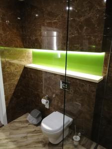 BarГостинний Двір的一间带卫生间和绿灯的浴室