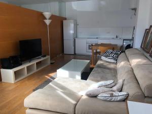 阿利坎特Estudio acogedor renfe的带沙发和电视的客厅