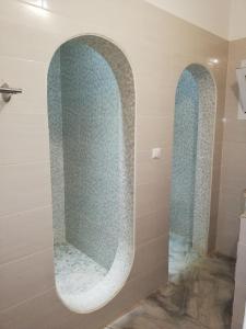 土巴迪亚劳Villa Roka - Toubab Dialaw的一间带淋浴的浴室,设有两个拱门