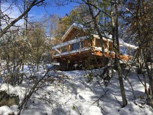 Saint-Julien-en-ChampsaurMa Cabane des Hautes-Alpes的雪中树林中的房屋