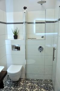 威斯巴登Maison Elise & Philipp的一间带卫生间和玻璃淋浴间的浴室
