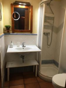 奥利文萨Casa Rialto的一间带水槽和淋浴的浴室