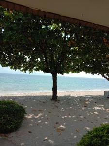班泰伦格阿伦度假酒店的海滩上的树,背靠大海