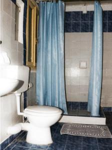 雅典阿尔戈酒店的一间带卫生间和蓝色淋浴的浴室