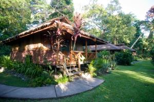 金贝瓦林迪种植园度假酒店的花园中带茅草屋顶的房子