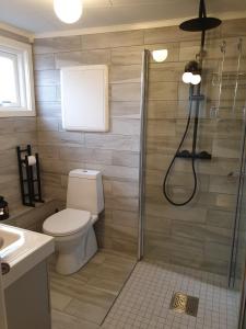 KodalPoeme A SANDEFJORD的带淋浴、卫生间和盥洗盆的浴室