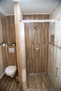Şura MicăValery House的带淋浴和卫生间的浴室