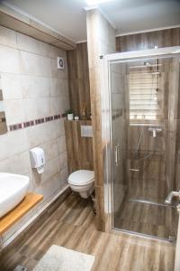 Şura MicăValery House的带淋浴、卫生间和盥洗盆的浴室