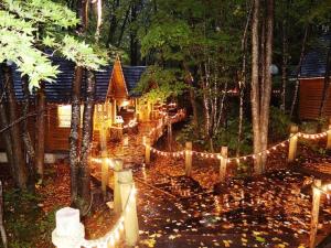 美瑛町Stay In Biei的森林中夜晚的灯光房子
