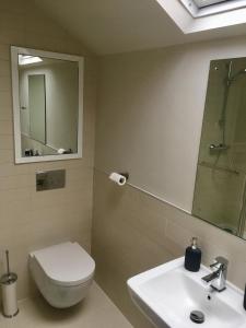 利兹Stylish City Centre Flat的一间带卫生间、水槽和镜子的浴室