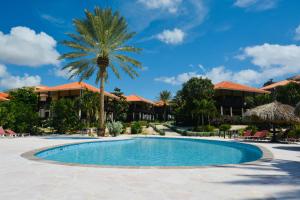 Blue BayBlue Bay Beach Villas & Apartments的棕榈树度假村前的游泳池