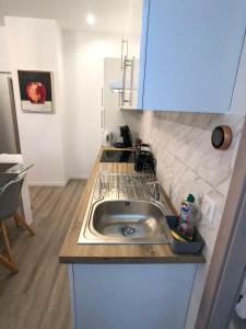 科尔马Deluxe Design - City Center Cosy Apartments的厨房配有水槽和台面