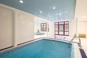 MístoPytloun Wellness Hotel Hasištejn的游泳池,位于带游泳池的房间