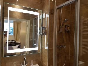 阿姆斯特丹B＆B弗拉基米尔影城酒店的带淋浴和镜子的浴室