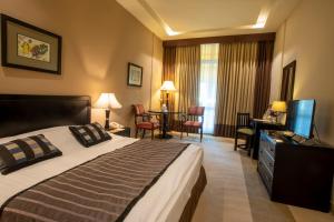 安曼世纪公园酒店的酒店客房配有一张床、一张书桌和一台电视。