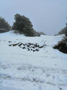 KalokhorioKalamospito Holiday House的一座有树木的雪覆盖的山丘