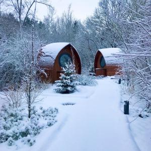 小布利特斯多夫Glamping Resort Biosphäre Bliesgau的雪中几块木 ⁇ 