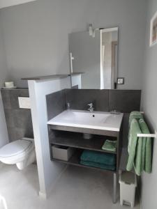 圣伊波利特Maison d'Hôtes Le Cep d'Or Alsace的浴室配有白色水槽和卫生间。