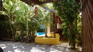 纳塔尔卡萨格兰德公寓酒店的一个带植物和游泳池的庭院