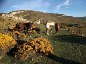 Villarroya de los PinaresCasa Rural Chulilla的相册照片