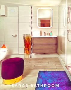 斯特拉斯堡Apartment Duplex with Sauna City- Center Cathedrale的一间带水槽和镜子的浴室