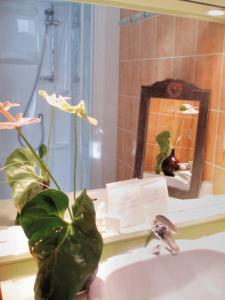 PontlevoyLogis Hôtel Auberge De L'ecole的镜子前浴室水槽上的植物